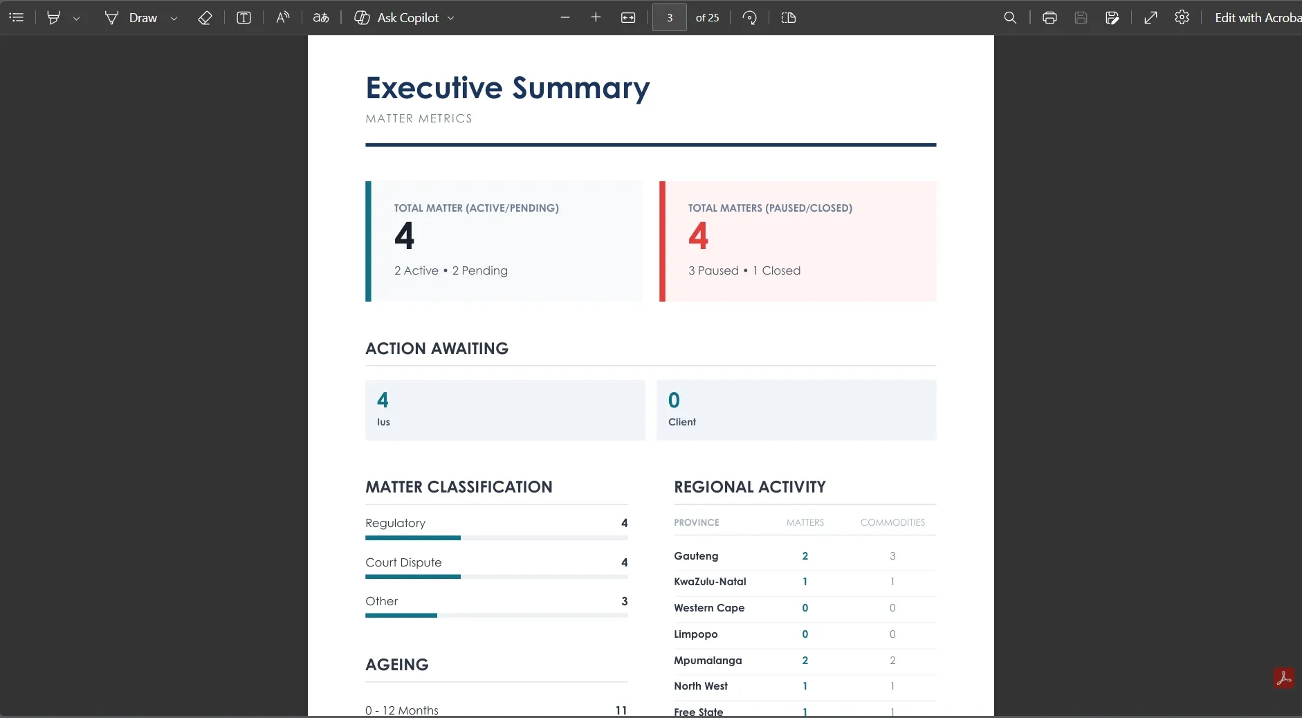 A generated executive summary report of matter metrics