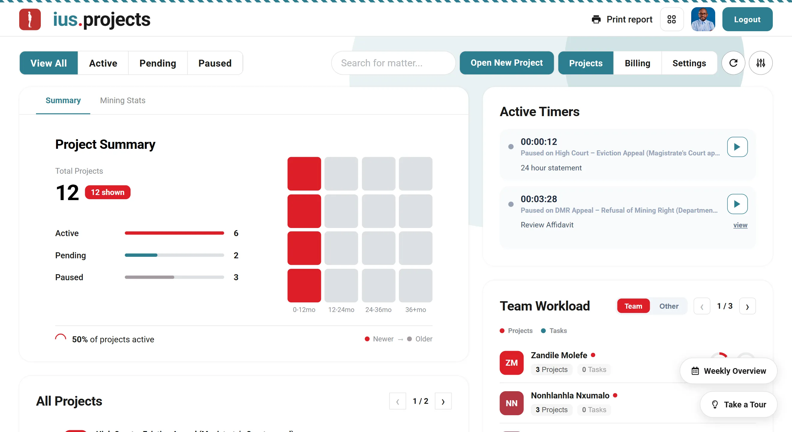 The ius.projects overview: project summary, active timers and team workload